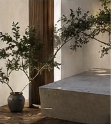 Naturaleza e integración
